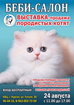 мероприятие ​Выставка-продажа породистых котят Беби-салон курган афиша расписание