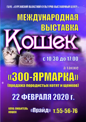 мероприятие ​Международная выставка кошек курган афиша расписание