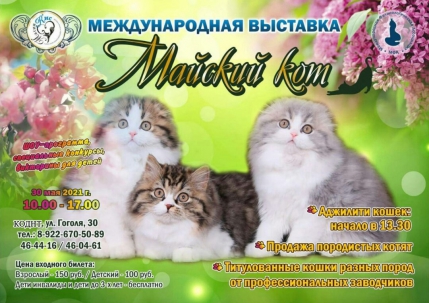 мероприятие Международная выставка кошек «Майский кот» курган афиша расписание