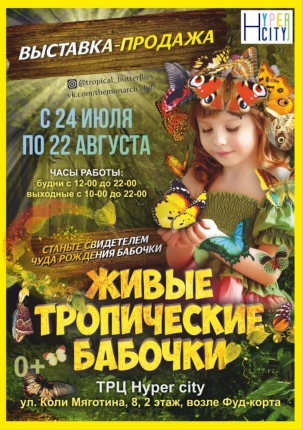 мероприятие ​Алтайская выставка «Живые тропические бабочки» курган афиша расписание