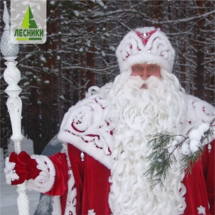 мероприятие Встреча Деда Мороза в «Лесниках» курган афиша расписание