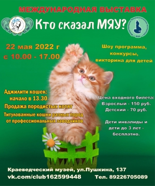 мероприятие Международная выставка кошек Кто сказал МЯУ? курган афиша расписание