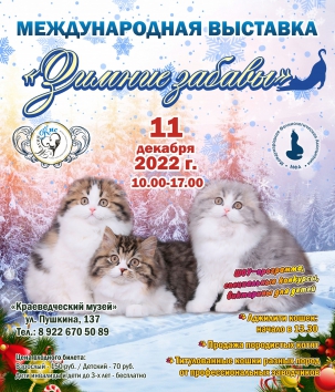 мероприятие Международная выставка кошек Зимние забавы курган афиша расписание