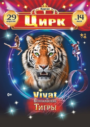 мероприятие Цирковое шоу Vivat курган афиша расписание