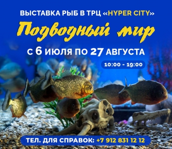 мероприятие Выставка рыб Подводный мир курган афиша расписание