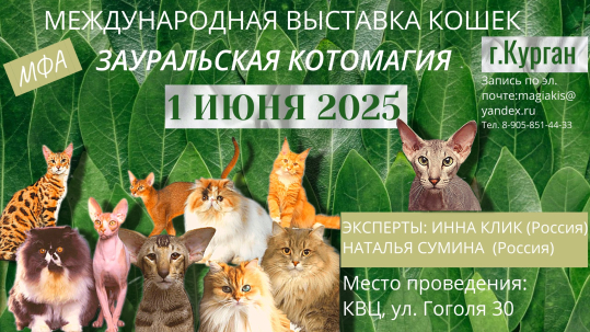 мероприятие Международная выставка кошек Зауральская котомагия курган афиша расписание