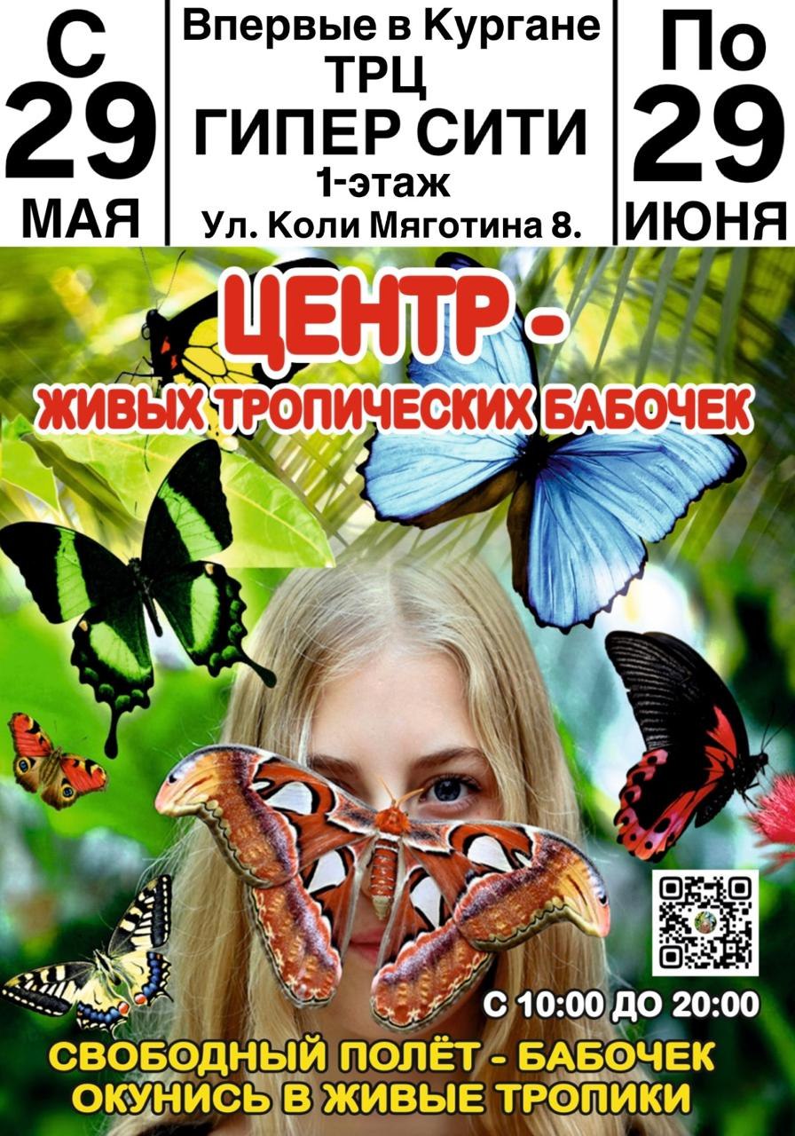 Центр живых тропических бабочек курган афиша расписание