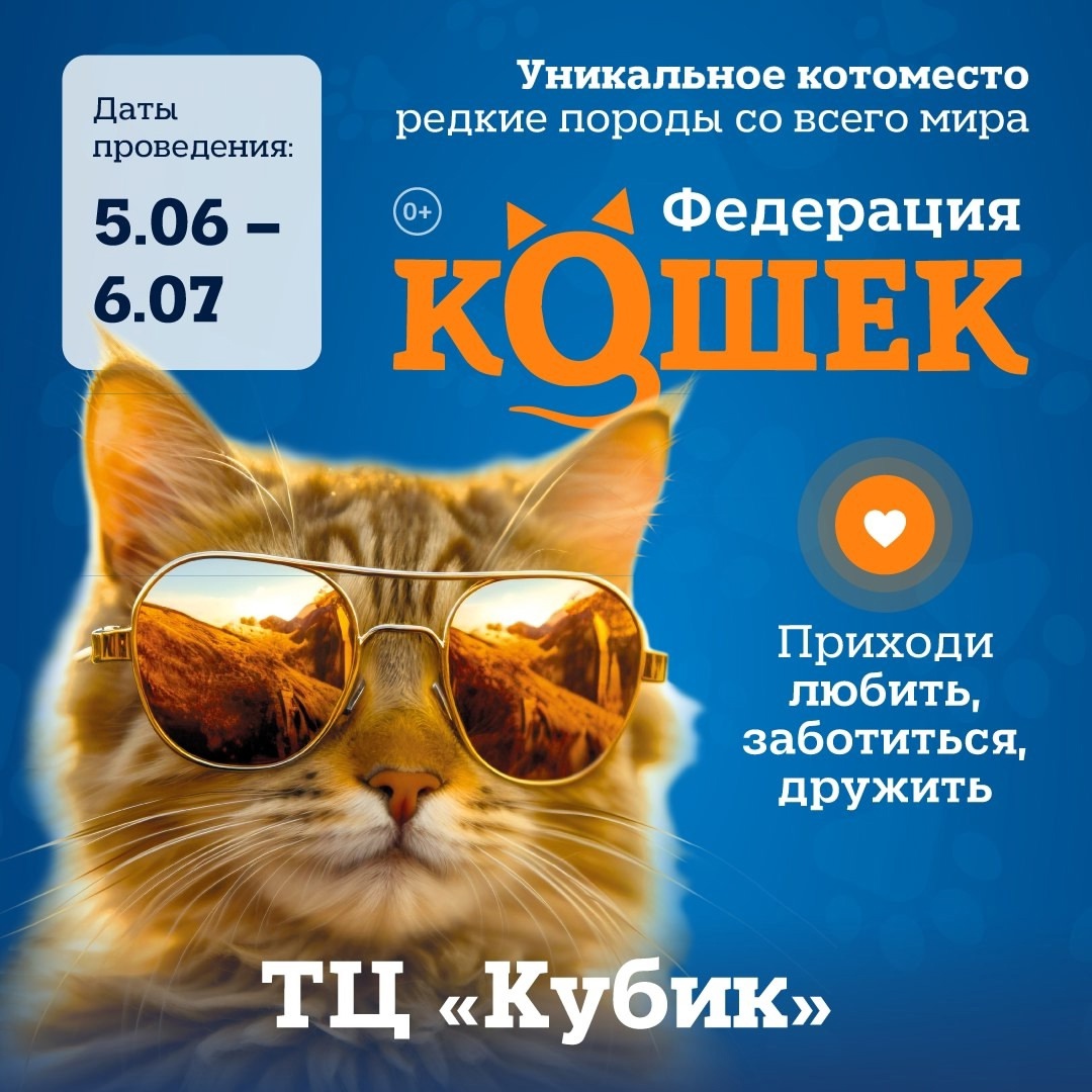мероприятие  Федерация Кошек курган афиша расписание