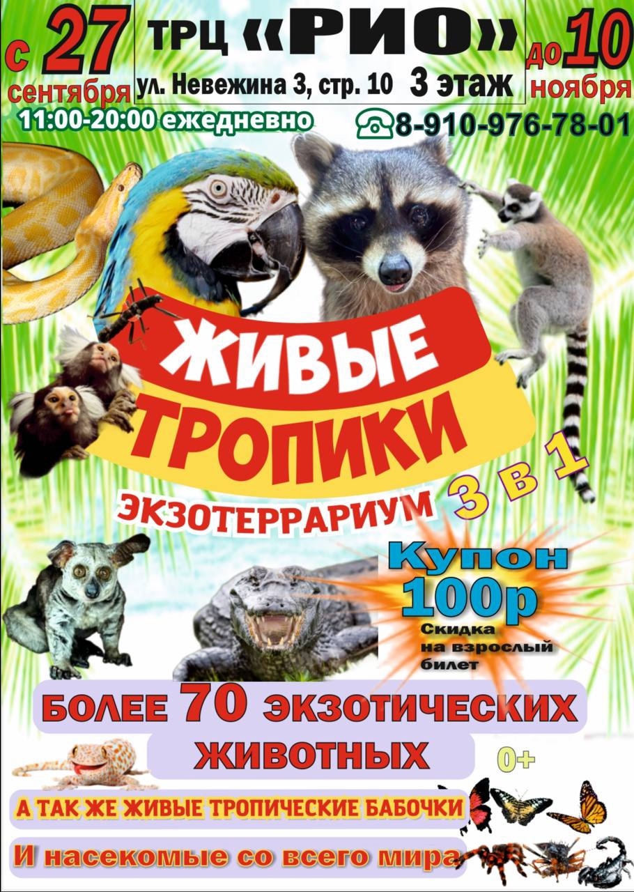 РИО, торгово-развлекательный центр Экзотеррариум Живые тропики курган афиша расписание
