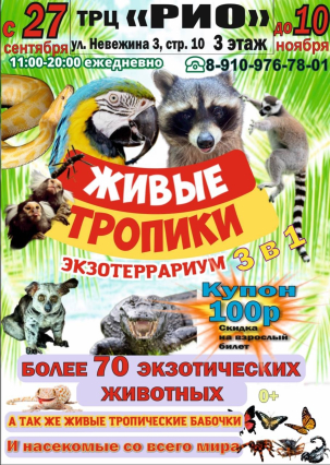 мероприятие Экзотеррариум Живые тропики курган афиша расписание