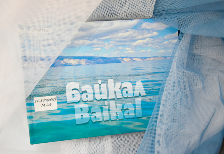 мероприятие ​Проект «Путь на Восток» курган афиша расписание