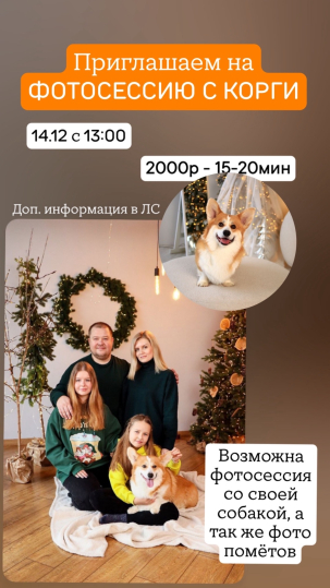 мероприятие Новогодняя фотосессия с корги курган афиша расписание