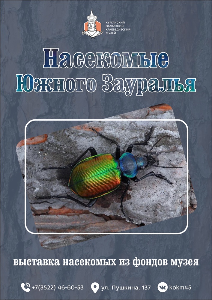 Выставка «Насекомые Южного Зауралья» курган афиша расписание