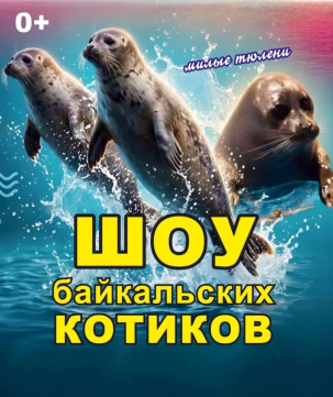 мероприятие Шоу байкальских нерп курган афиша расписание