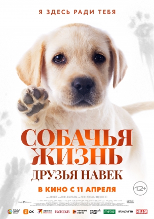 Собачья жизнь: Друзья навек расписание кино афиша курган